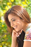 Nisha Agarwal Latest Photos